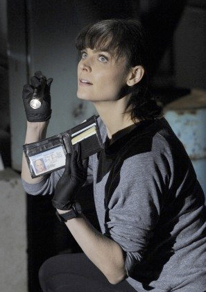 Temperance Brennan in the TV Show Bones played by Emily Deschanel Temperance Brennan play by Emily Deschanel