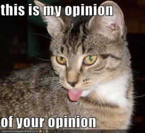 Cat hates your opinion of wanting to ban Amazon