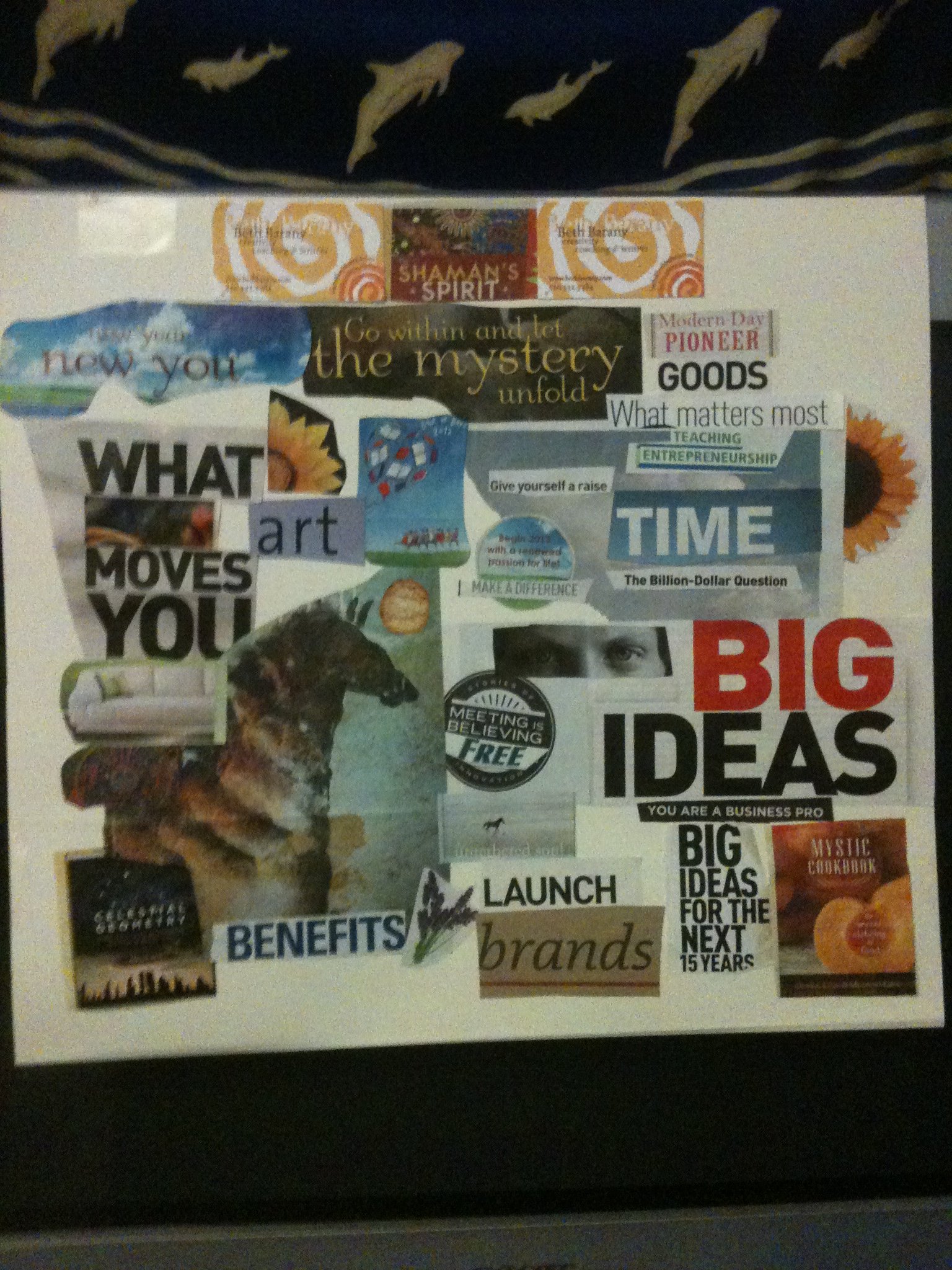 Beth Barany's Big Vision vision board 2013